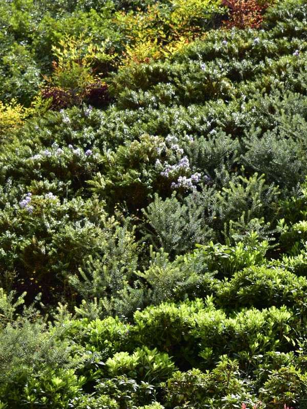 JARDIM VERTICAL (POLÍPTICO A)