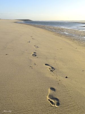 CAMINHANDO PELA AREIA