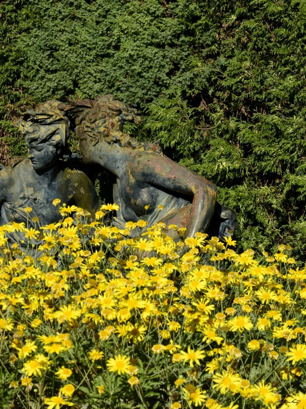 ESCULTURAS NO JARDIM (DÍPTICO 2-2)