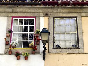 JANELAS DO PORTO