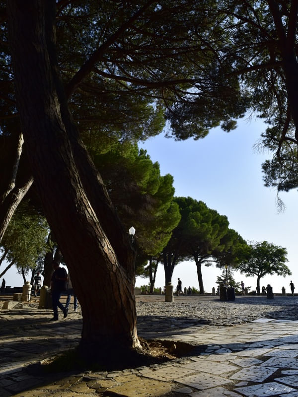 JARDIM DO CASTELO DE SÃO JORGE - LISBOA