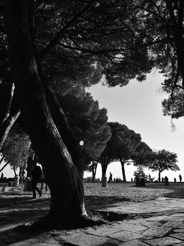 JARDIM DO CASTELO DE SÃO JORGE - LISBOA (PB)