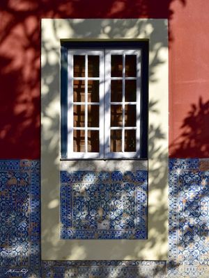 SOMBRA NA JANELA
