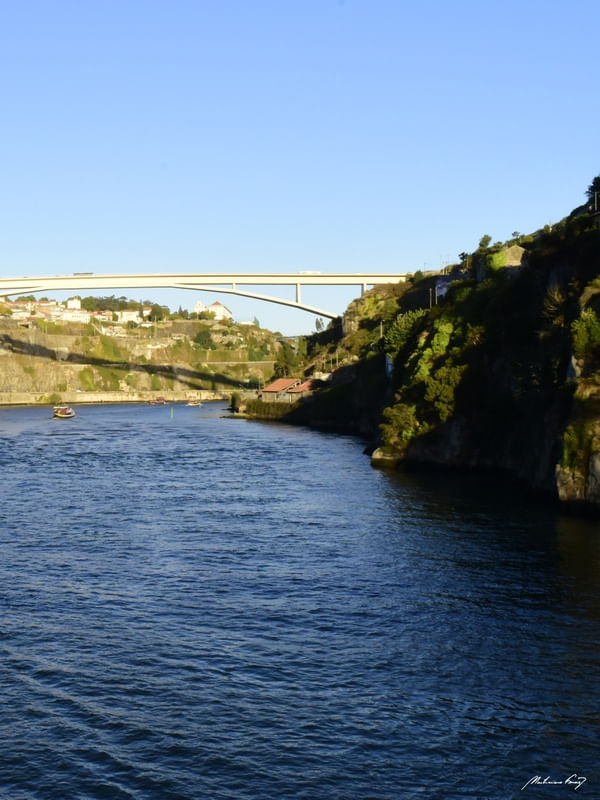 RIO DOURO (DÍPTICO 2-2)
