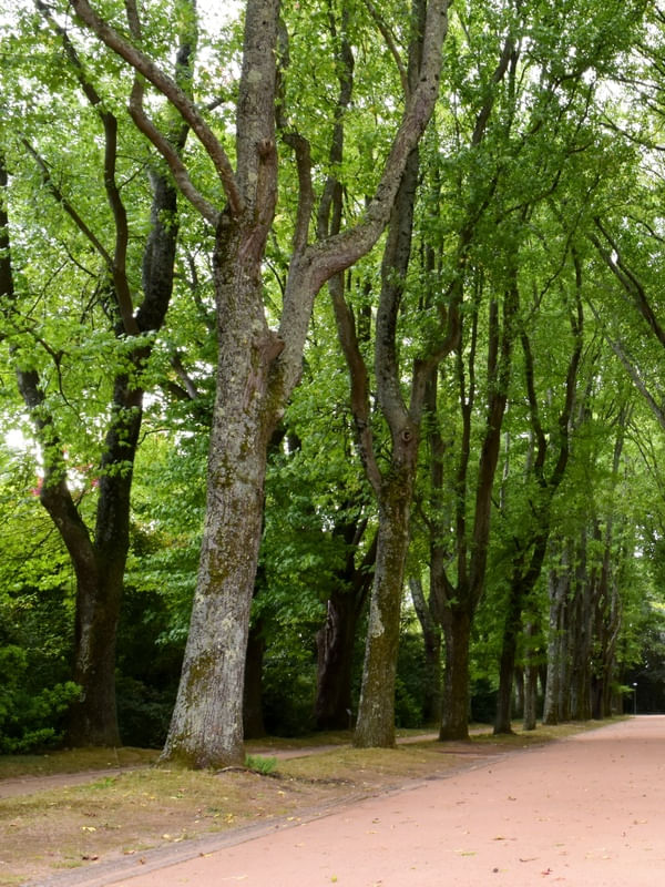 JARDIM DE SERRALVES (DÍPTICO 1-2)