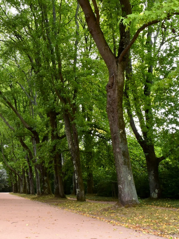 JARDIM DE SERRALVES (DÍPTICO 2-2)