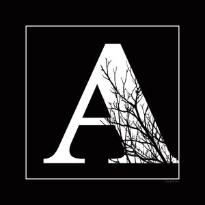 SM - LETRA A