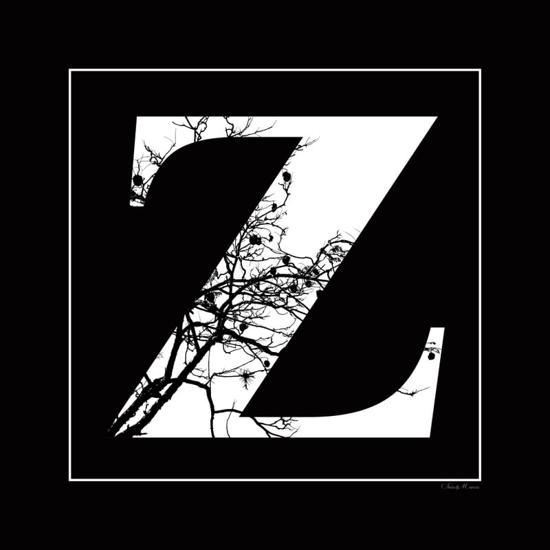 SM - LETRA Z