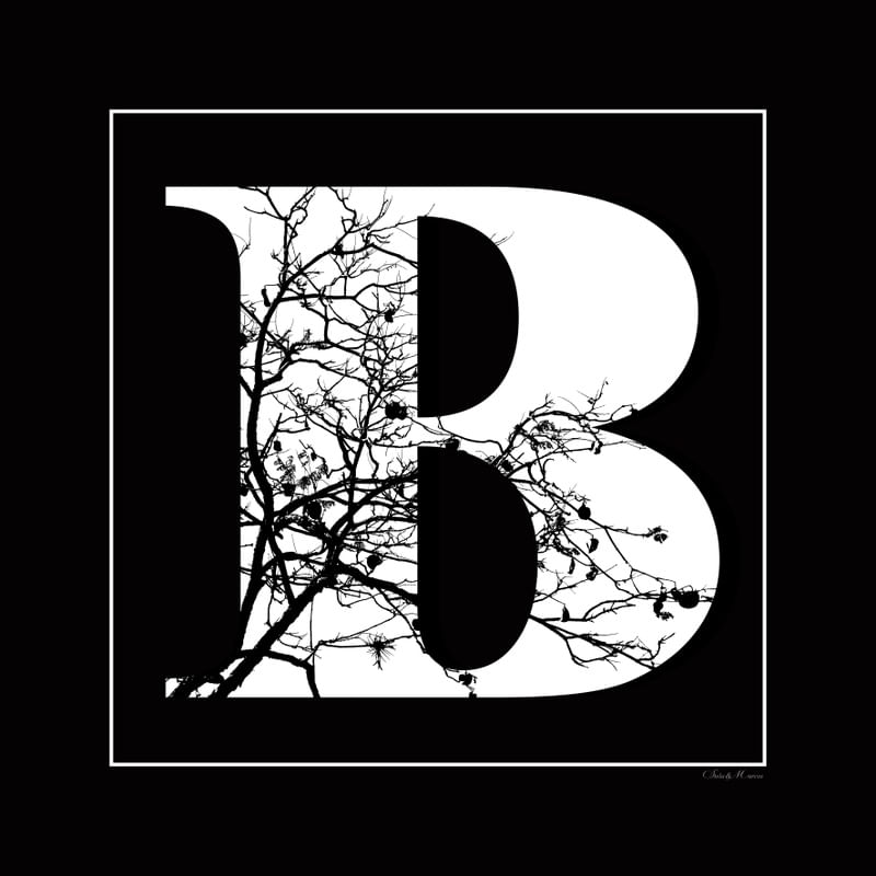 SM - LETRA B