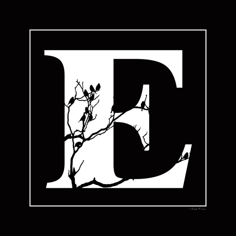 SM - LETRA E