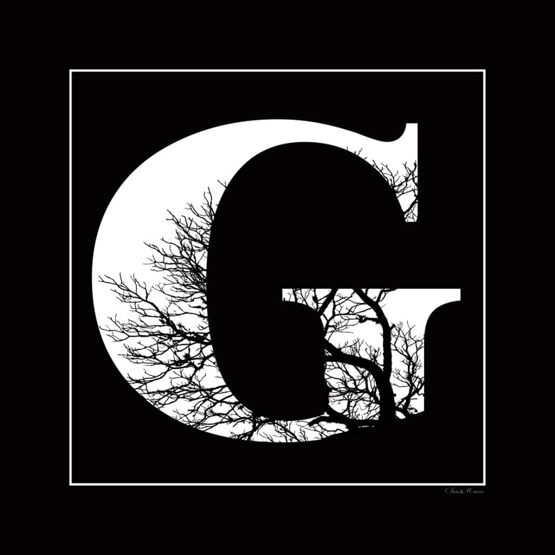 SM - LETRA G