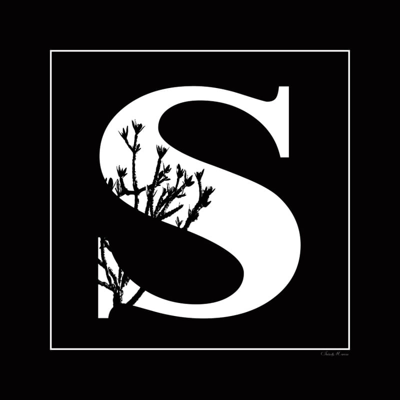 SM - LETRA S