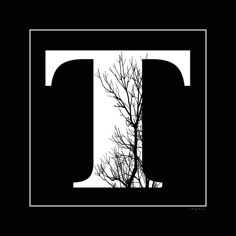 SM - LETRA T