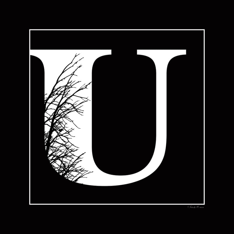 SM - LETRA U