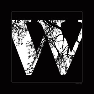 SM - LETRA W