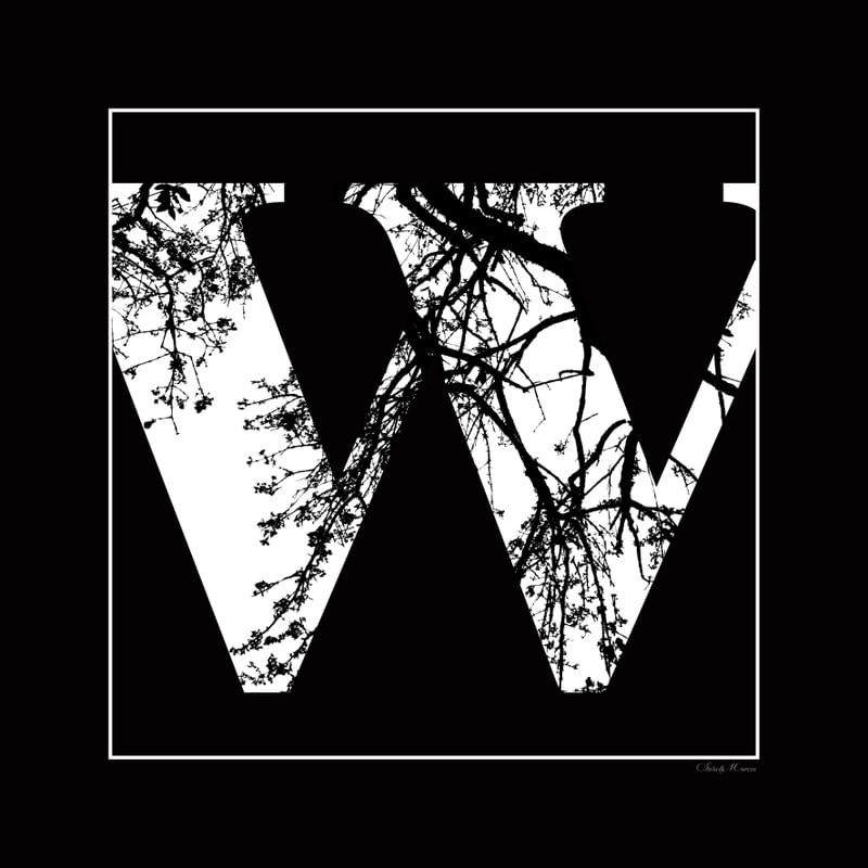 SM - LETRA W