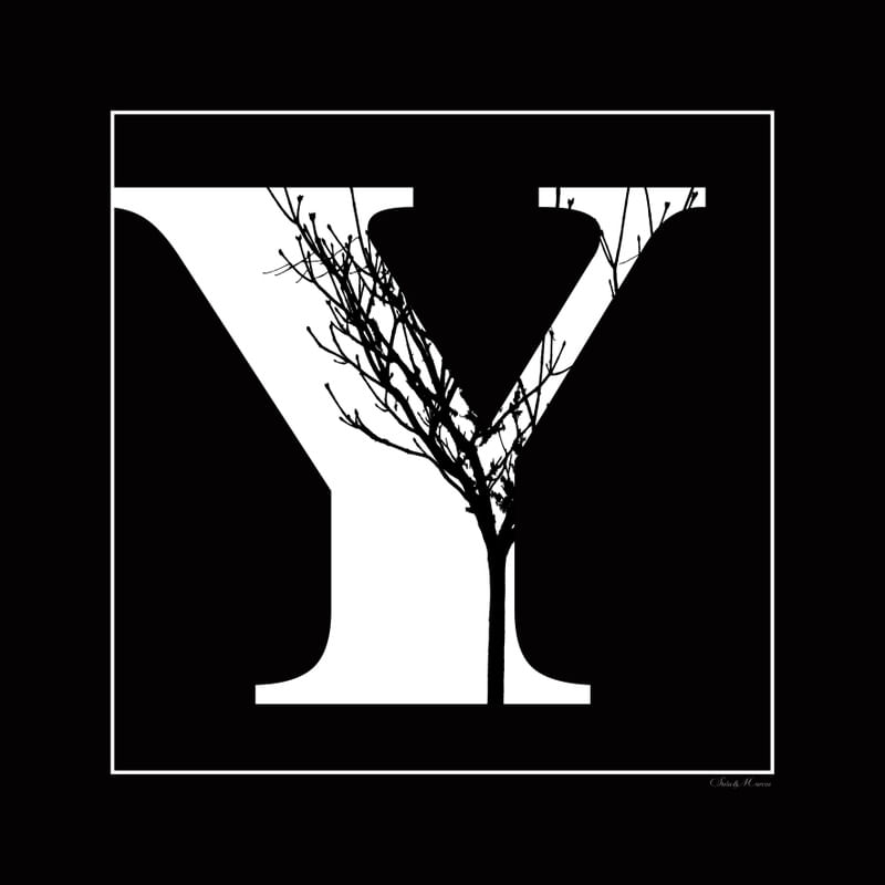 SM - LETRA Y