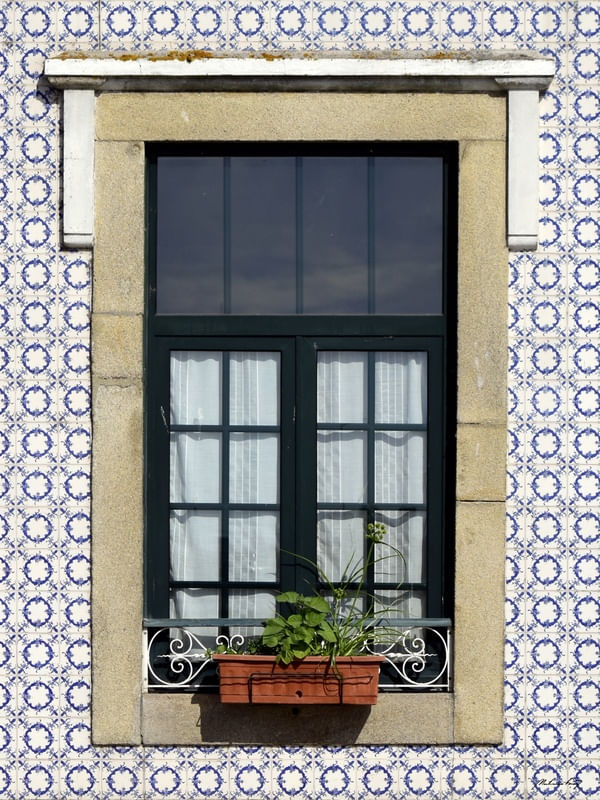 JANELA PORTUGUESA - V