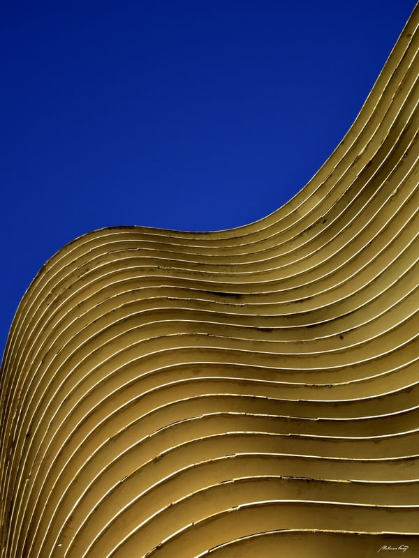 ED. NIEMEYER - VII