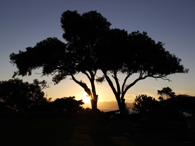 SM - PÔR DO SOL 01