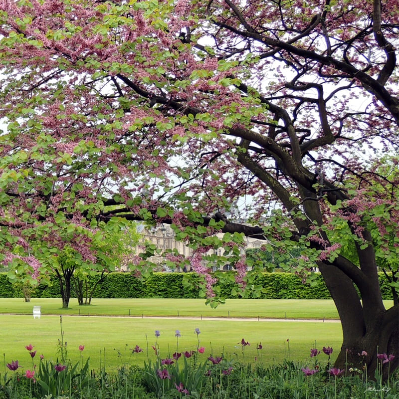 JARDINS DAS TULHERIAS (DÍPTICO 2-2)