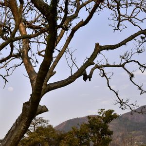 FIM DE TARDE NO CAMPO