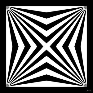 ESTRELA EM PRETO E BRANCO