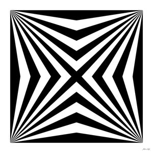 ESTRELA EM BRANCO E PRETO