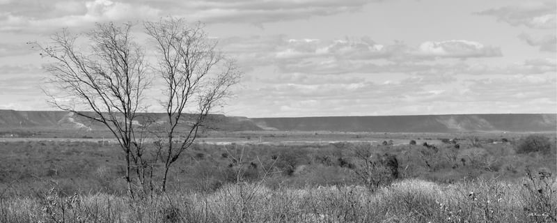 PAISAGEM DO SERTÃO (PB)