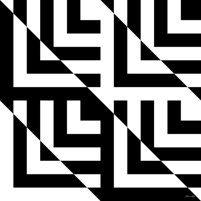 GEOMÉTRICO EM PRETO E BRANCO - V