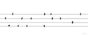 SM - PARTITURA 02