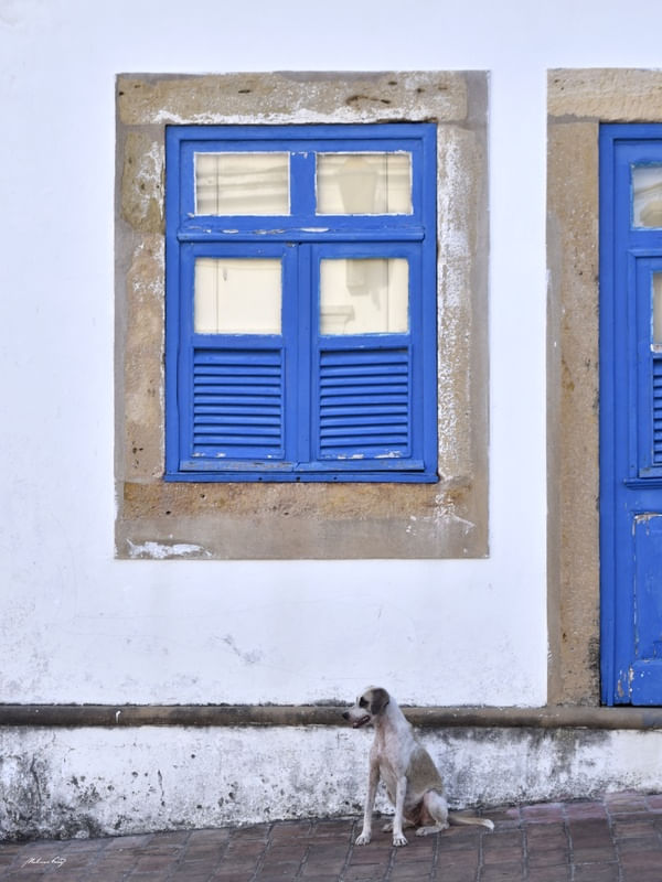 JANELA DE OLINDA - VI