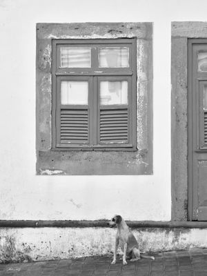 JANELA DE OLINDA - VI (PB)