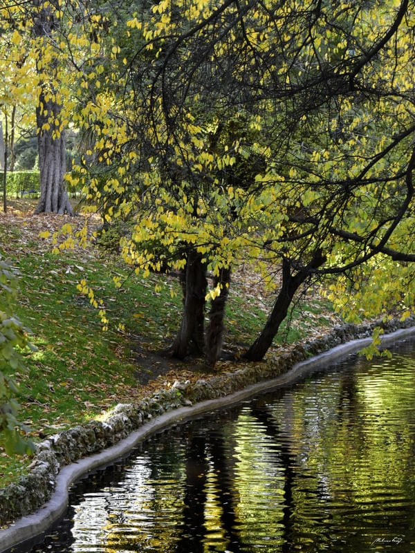 MARGEM DO LAGO