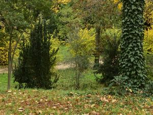 NATUREZA VIVA (DÍPTICO 1-2)