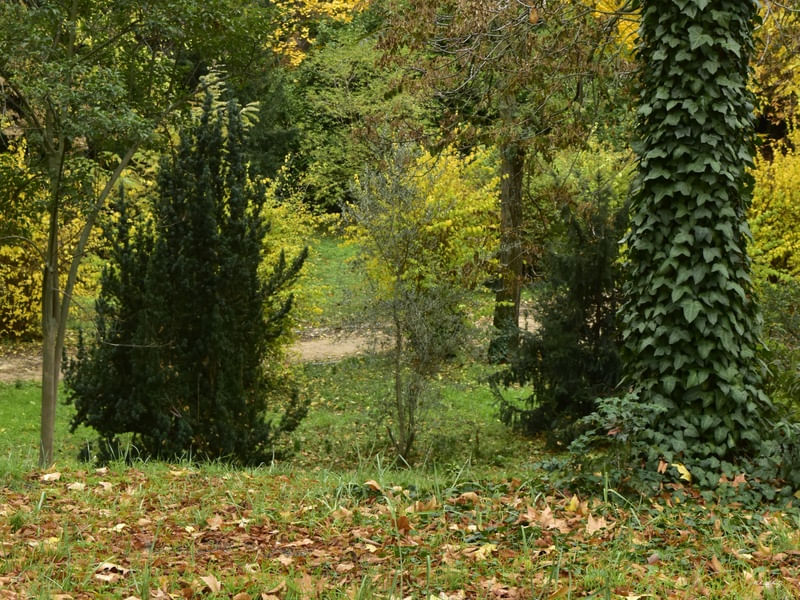 NATUREZA VIVA (DÍPTICO 1-2)