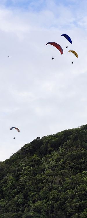 SM - SC 66