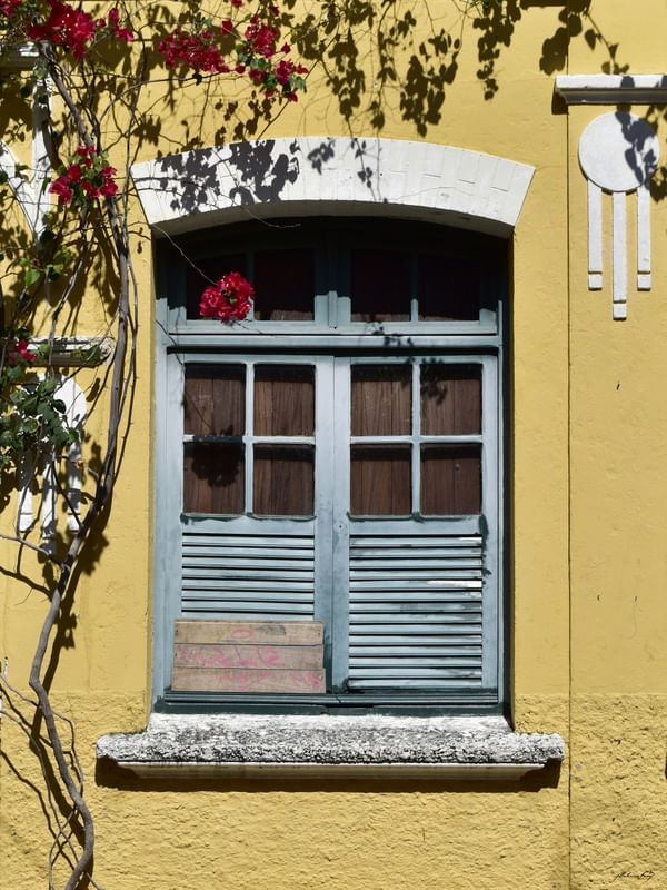 JANELA DE OLINDA - XX
