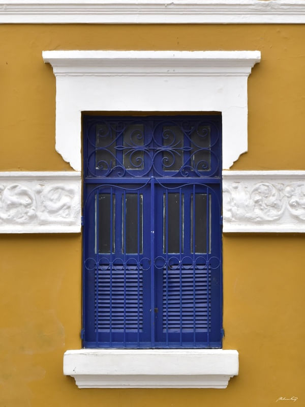 JANELA DE OLINDA - XV