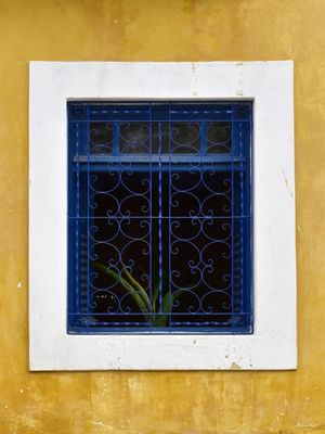 JANELA DE OLINDA - XI