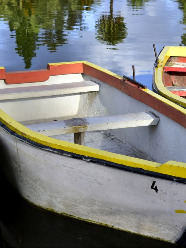 CANOAS (DÍPTICO 1-2)