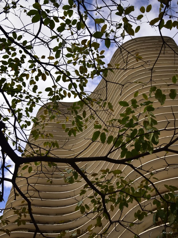 ED. NIEMEYER - IV