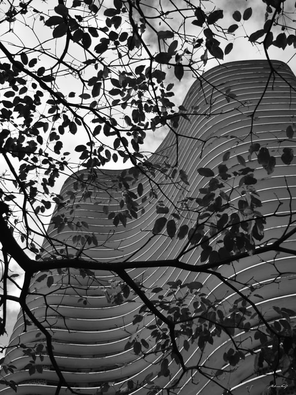 ED. NIEMEYER - IV (PB)