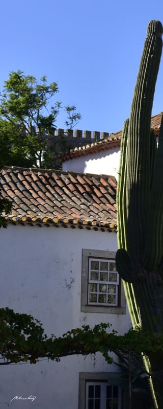 ÓBIDOS - PORTUGAL (QUADRÍPTICO 1-4)