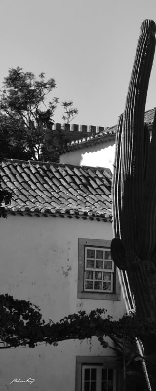 ÓBIDOS - PORTUGAL (QUADRÍPTICO 1-4) PB
