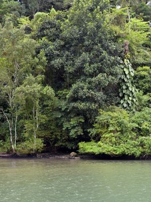 FLORESTA E MAR (DÍPTICO 1-2)