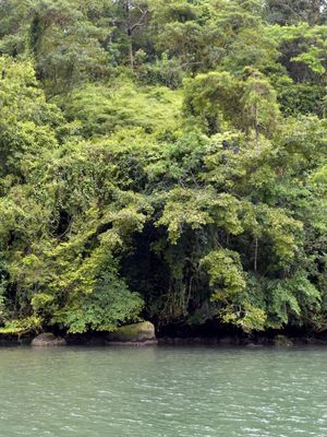 FLORESTA E MAR (DÍPTICO 2-2)