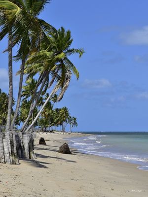 PARAÍSO EM PERNAMBUCO