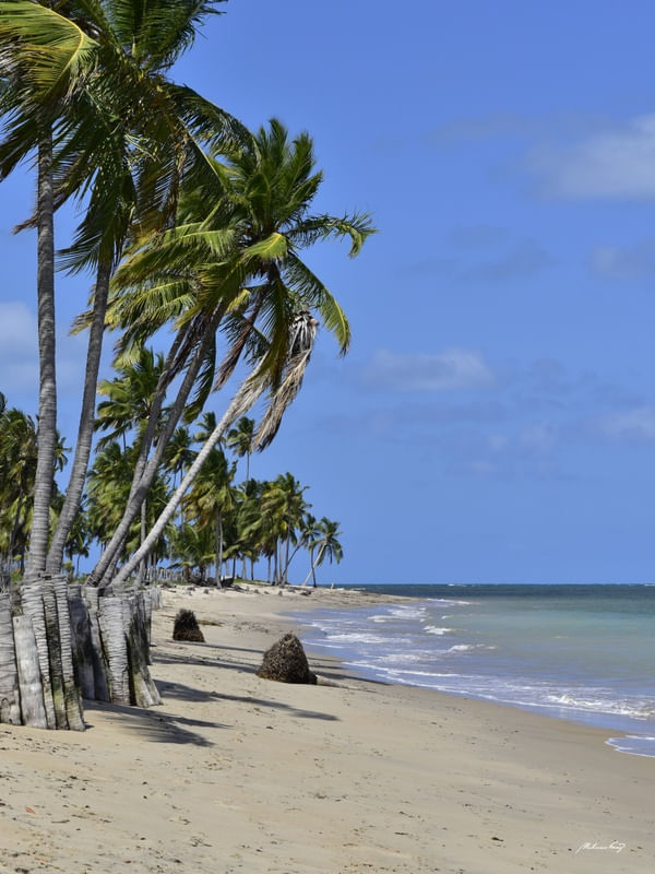 PARAÍSO EM PERNAMBUCO