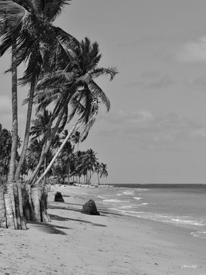 PARAÍSO EM PERNAMBUCO (PB)